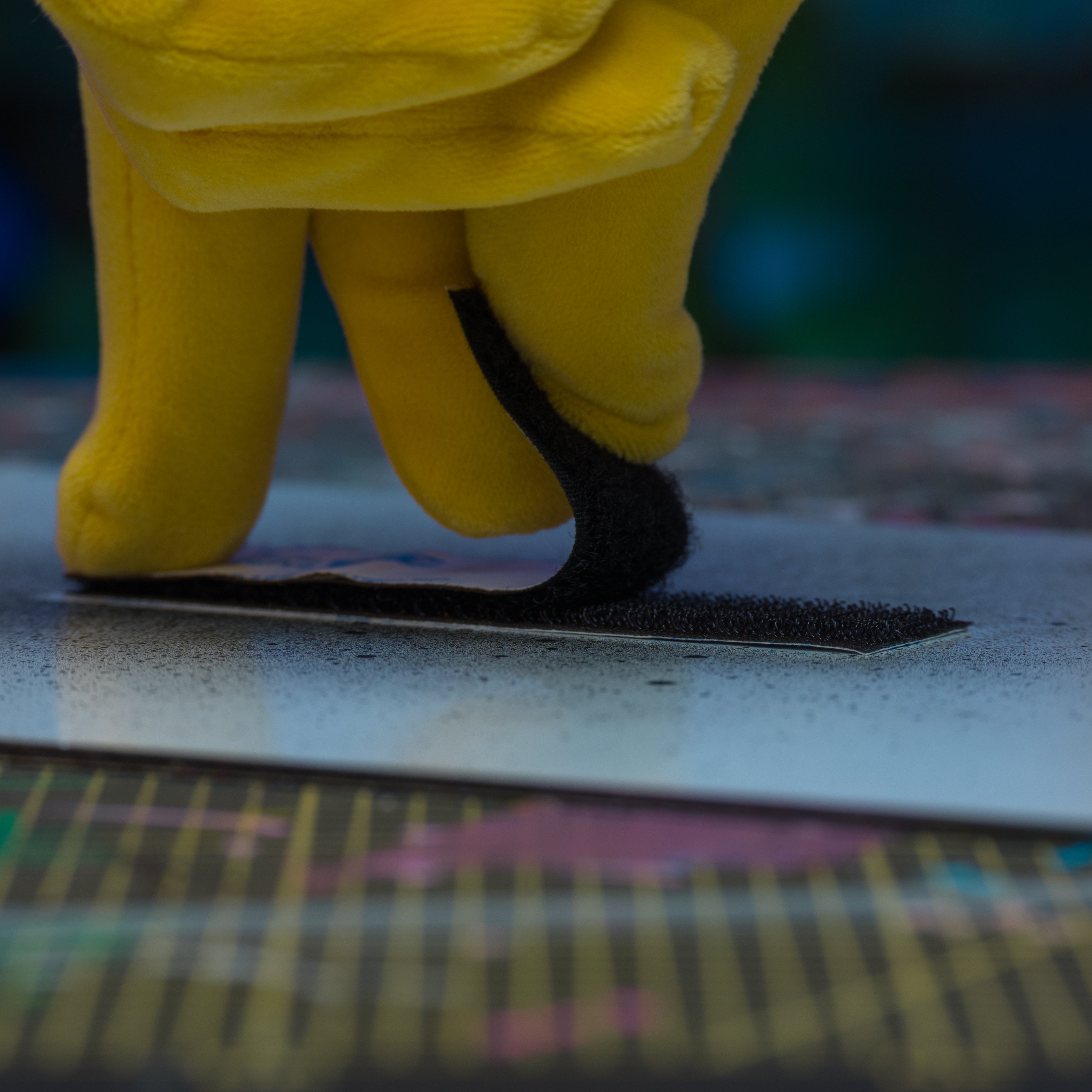 Bugs bunny & Lola private property sign